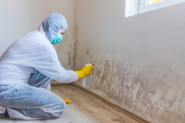 Licensed Mold Inspection service in Decatur, TX - WQB Mold Removal