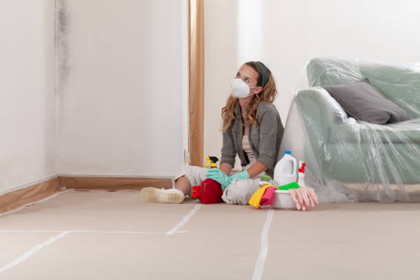 Reliable Mold Inspection contractor in Decatur, TX by WQB Mold Removal